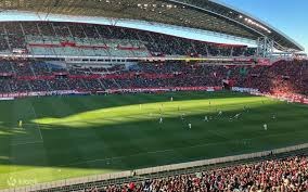 解析亚利桑那响尾蛇队如何通过多元化球员组合实现跨文化共融