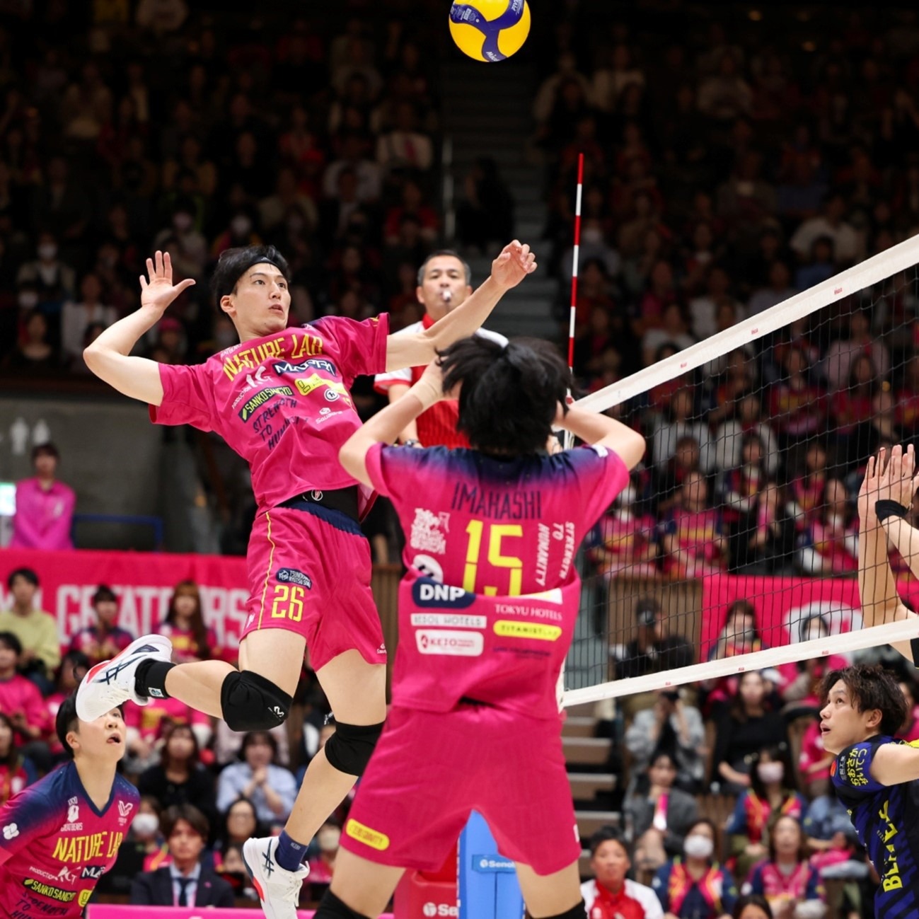 治愈系沙盒建造游戏《林间小世界》愿望单数量达百万